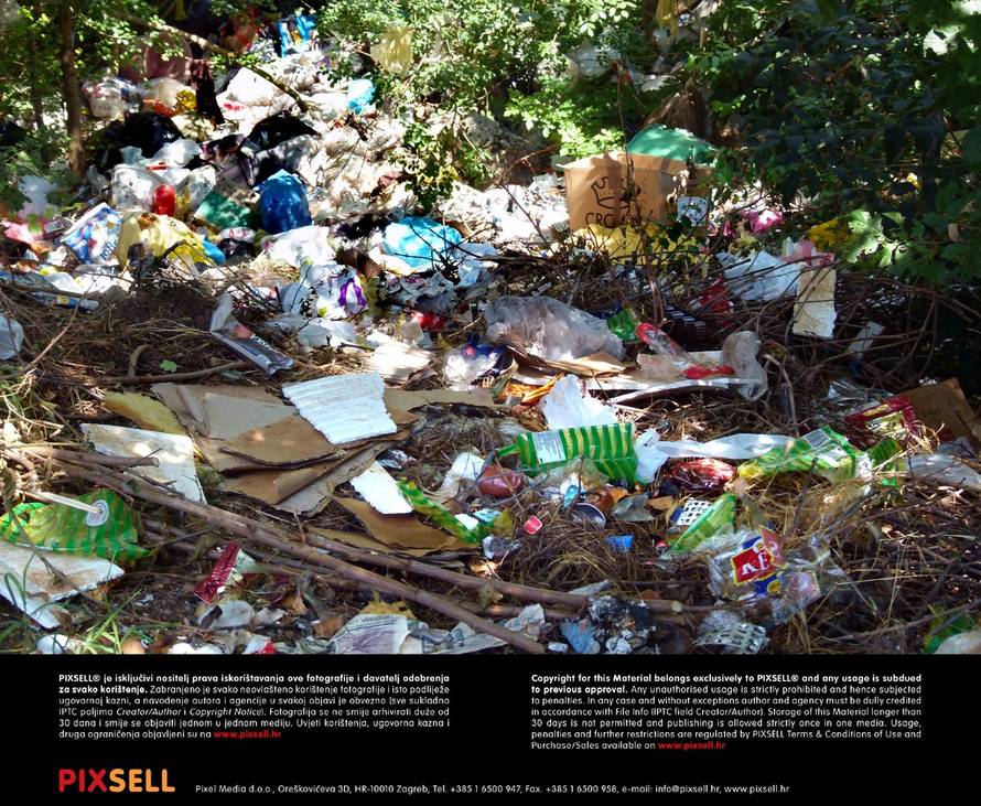 Ivana Ivanović/Pixsell