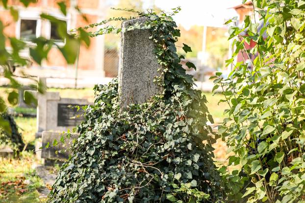 Zagreb: Psihijatrijsko groblje Vrapče ima upaljenu tek pokoju svijeću na blagdan Svih svetih