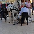 Nakon prizora iz Sinja Prijatelji &zcaron;ivotinja bi zabranu kori&scaron;tenja konja za vu&ccaron;u turisti&ccaron;kih ko&ccaron;ija