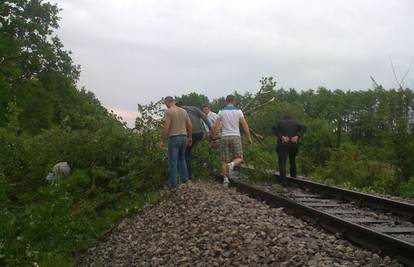 Vlak u šumi: Putnici izašli van i složno uklonili stablo s pruge