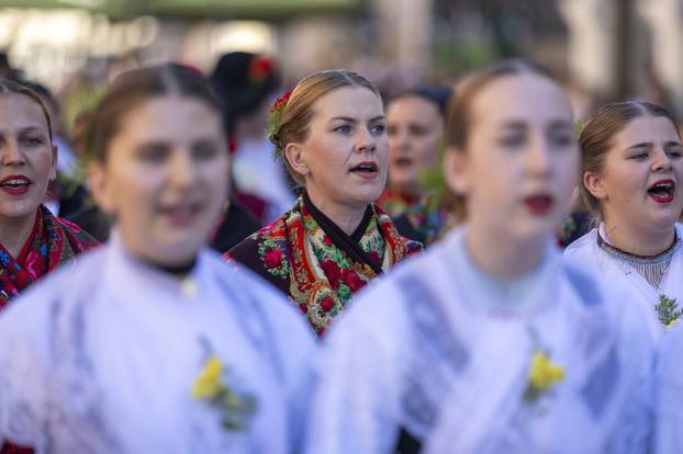 Vinkovci: Svečani mimohod sudionika 60. Vinkovačkih jeseni