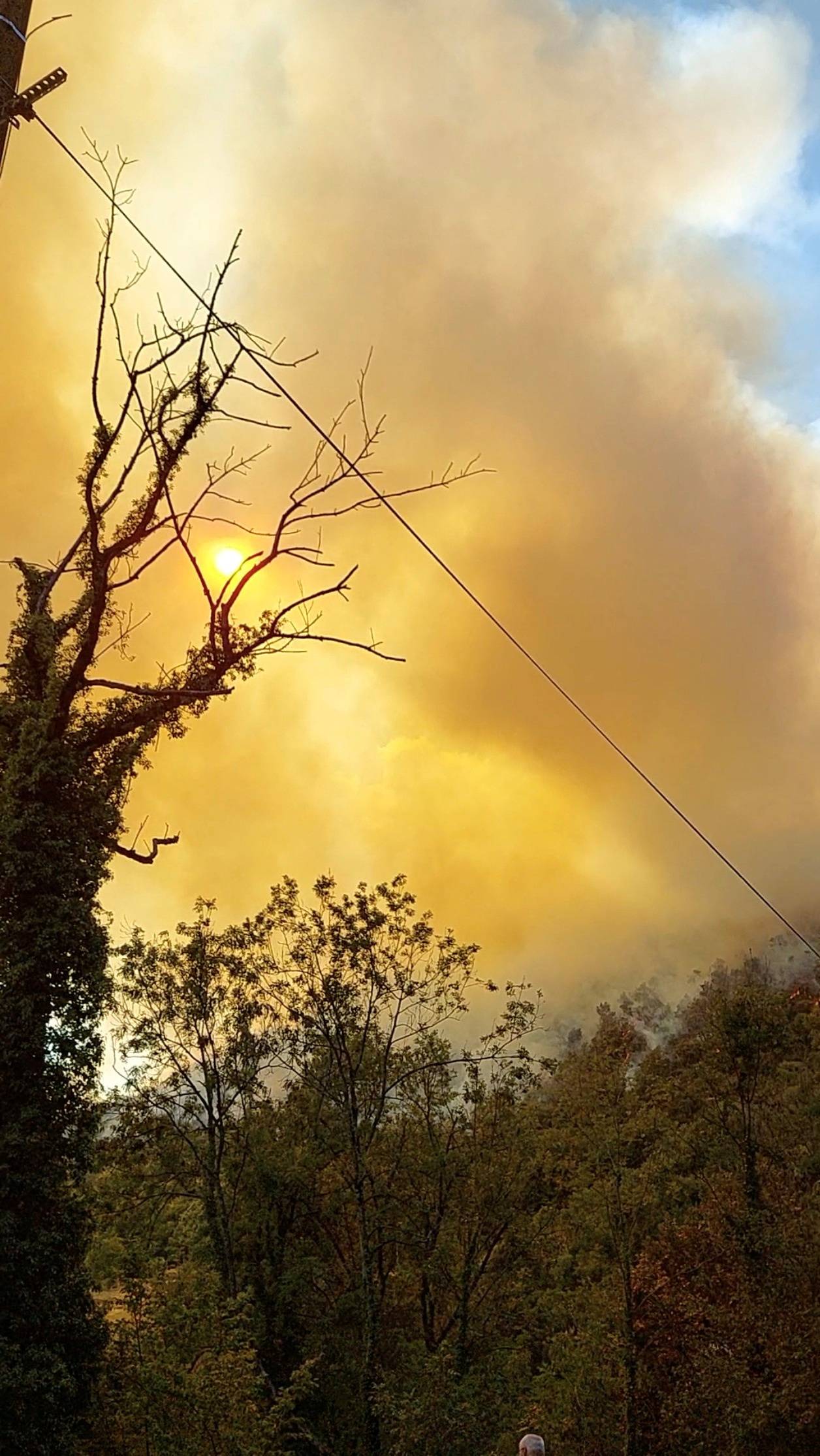 Smoke rises from a forest fire in Pommiers-la-Placette