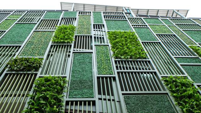 Žive fasade od bilja i mahovine su sve popularnije - građanima osiguravaju kvalitetniji zrak