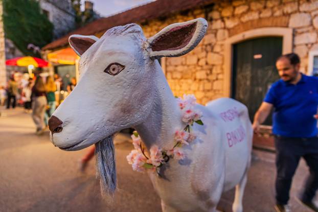 Vrgorac:  Održana 25 Biklijada napitak koji se pravi od Kozijeg Mlijeka i mladog Vina