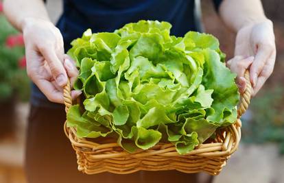 Trik kako da zelena salata duže ostane svježa i fino hrskava