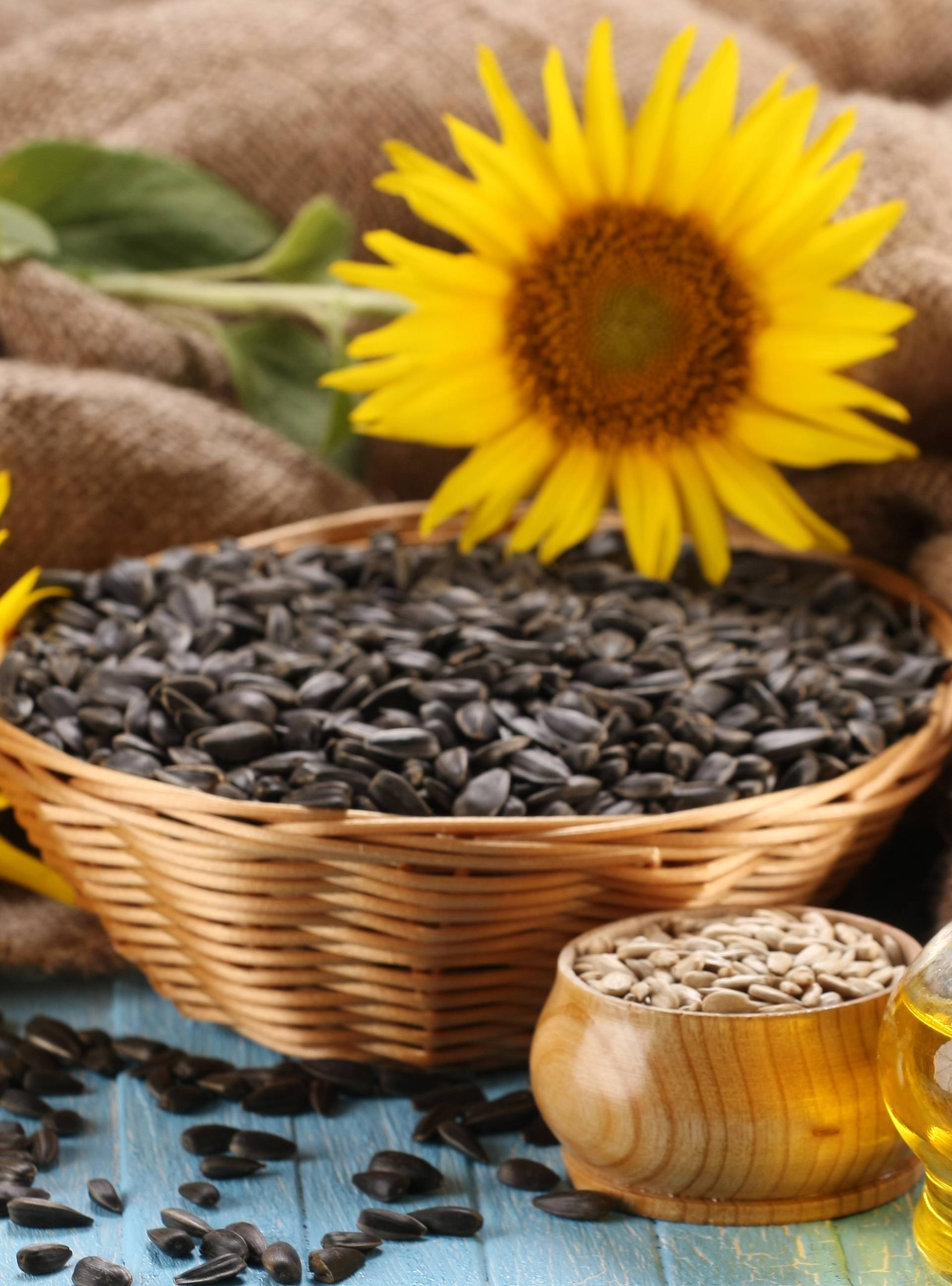 Zdravo i fino: Pet je razloga da jedete suncokretove sjemenke