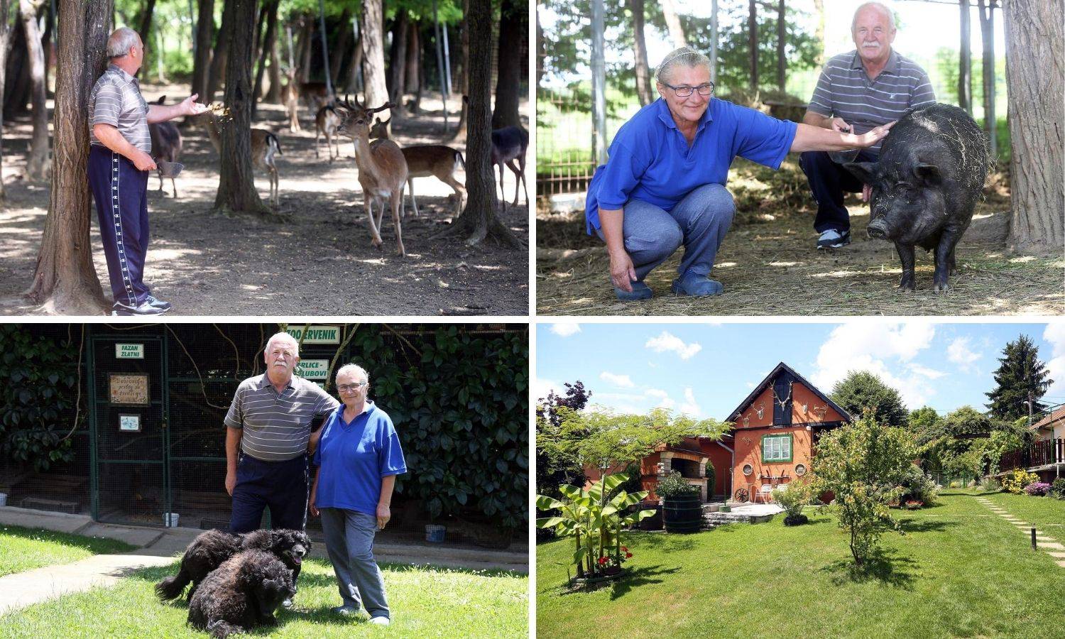 Zagorski ZOO Hunjak: Naš mali obiteljski raj s 200 životinja stvaramo već 25 godina