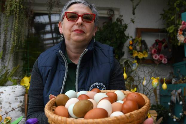 Neobične kokoši u Zvijercima kod Bjelovara nesu jaja u raznim bojama