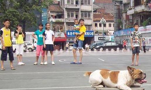 Pas ovisan o svakodnevnoj vožnji na skateboardu