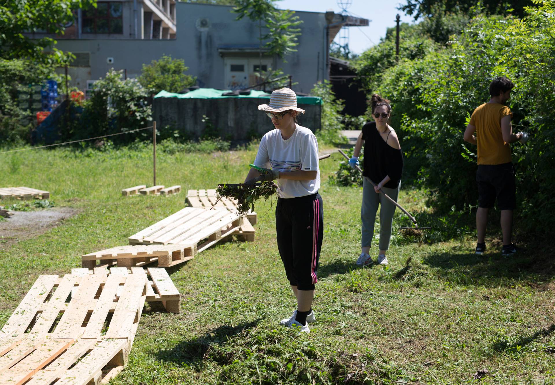 Saznajte trikove urbanog vrtlarenja u sklopu Dana D