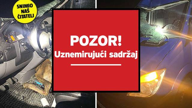 Nesreća kod Daruvara: Jelen mu je proletio kroz šajbu! Udario ga automobil iz suprotnog smjera