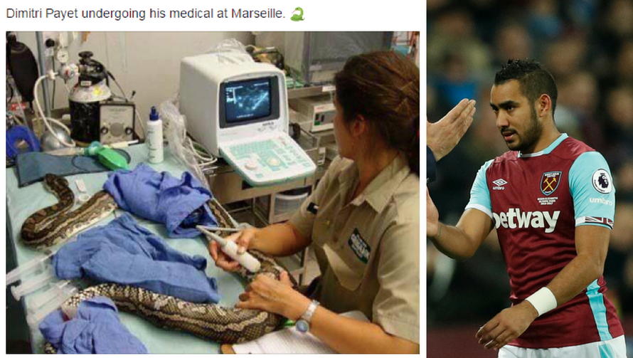 Zmija ih za srce ugrizla: West Ham slavi odlazak 'otrovnice'