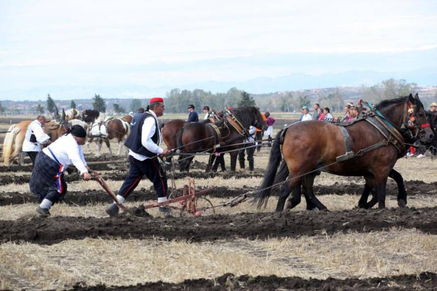 Željko Mršić/Pixsell