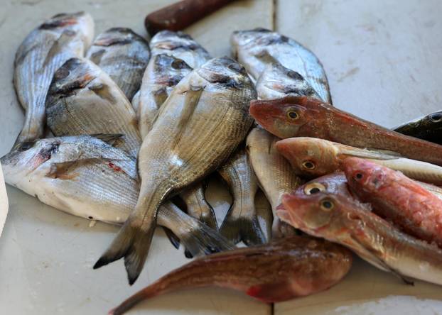 Šibenik: Ponuda na šibenskoj ribarnici