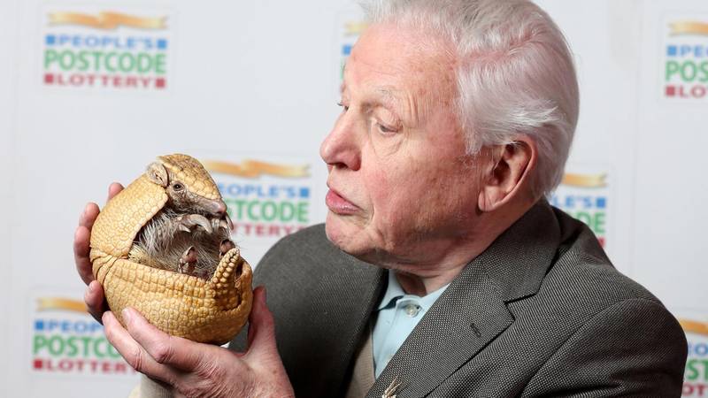 Danas slavi stotu! Legendarni David Attenborough odlučio je napustiti ured i istraživati svijet