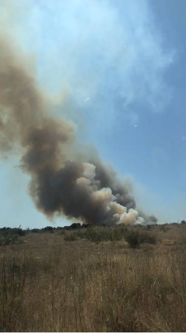 VIDEO Gori kod Benkovca! Vatra je blizu kuća. Dim je prekrio dio autoceste, ograničili su brzinu