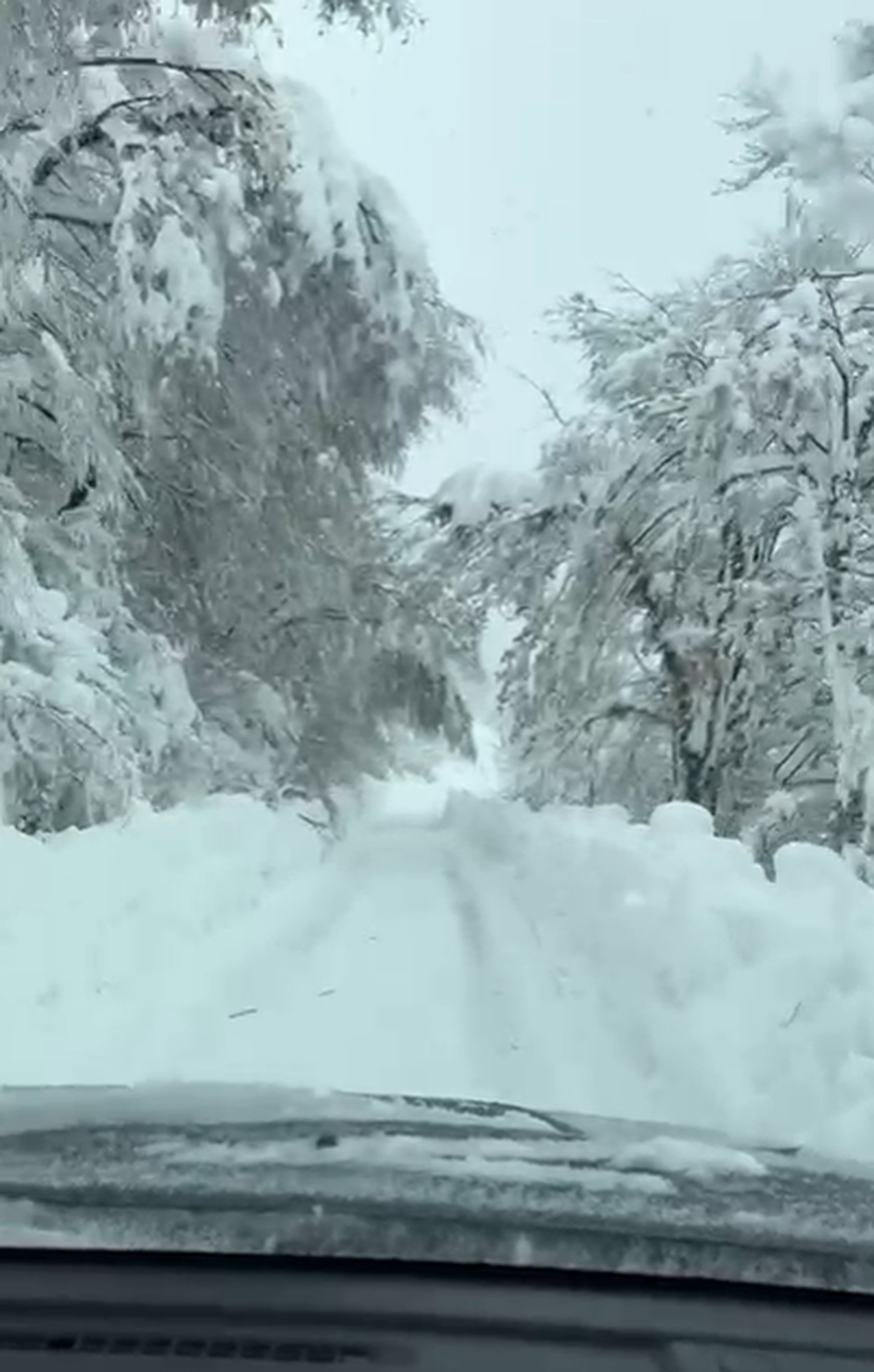 DRAMA KOD PLITVICA Bagerom spasili trudnicu iz sela: 'Ovdje niti ralica nije uspjela doći'