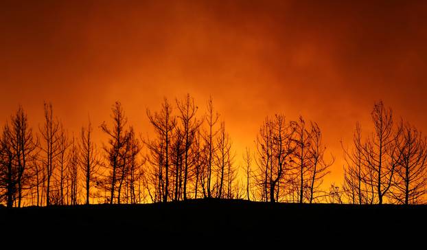 Wildfires blaze on southern Turkish coast near Manavgat