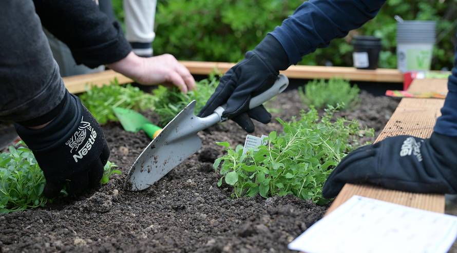 Zašto stručnjaci potiču povratak sezonskoj prehrani?
