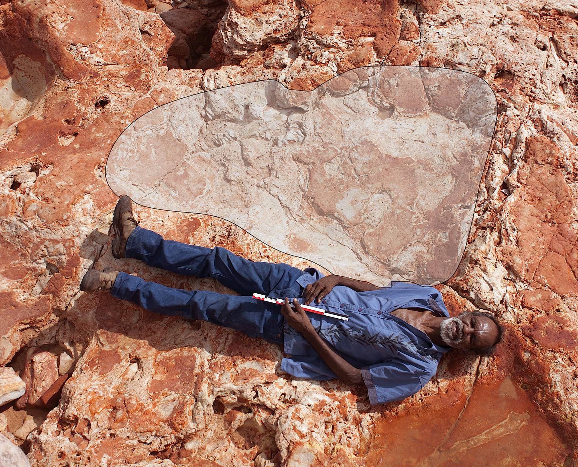 A supplied image of Aboriginal elder and Goolarabooloo Law Boss Richard Hunter alongside a 1.75m sauropod dinosaur track in the Lower Cretaceous Broome Sandstone, Walmadany area, Dampier Peninsula, in Western Australia