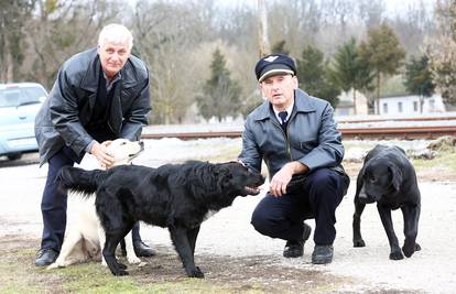 Kraljevi pruge: Psi lutalice u Spačvi čekaju svoj novi dom