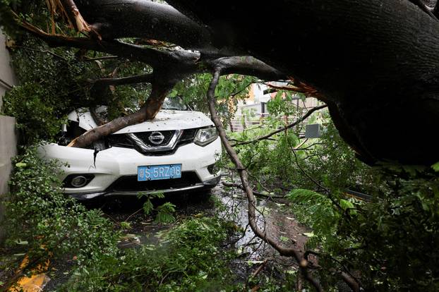 A car is damaged by a fallen tree in the aftermath of Super Typhoon Ragasa, in Shenzhen
