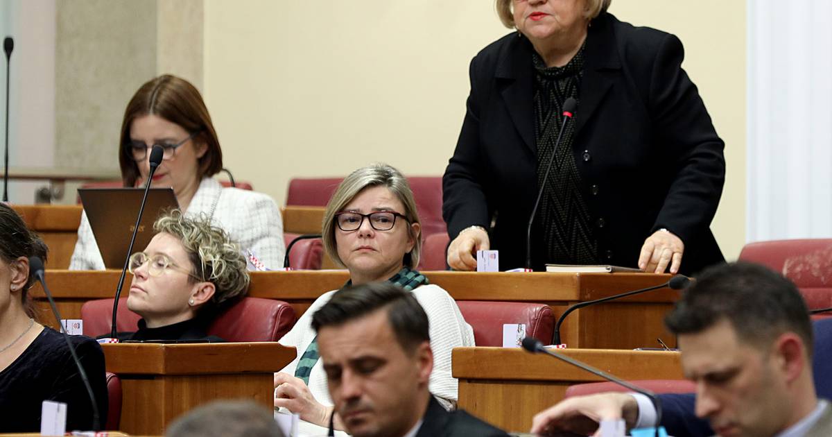 Outrage in Parliament as Plenković combines femicide and lex AP in controversial law