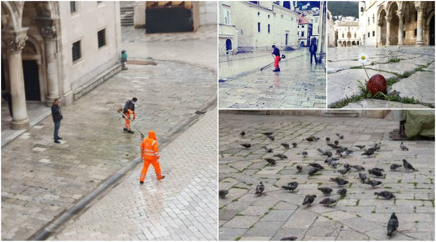 Otkad nema turista, priroda se budi: Na Stradunu kosili travu!