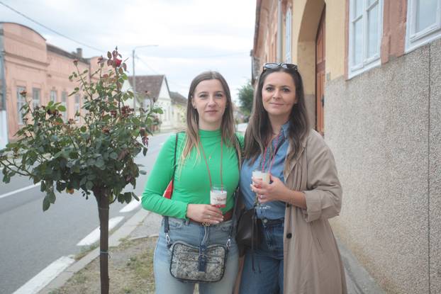 Zmajevac:  Vinski Bor maraton