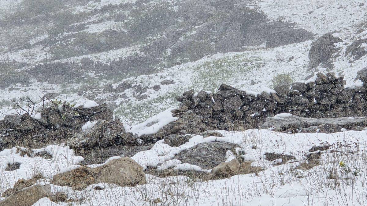 FOTO Zimska idila u Dalmaciji: Snijeg pao na Mosoru,  Biokovu, Svilaji, Kamešnici i Dinari