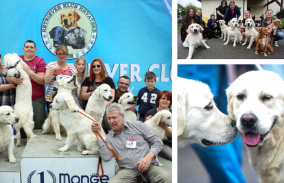 Najveselija pseća fešta: 620 retrivera nakon velike Svjetske izložbe seli se u Veliku Goricu!
