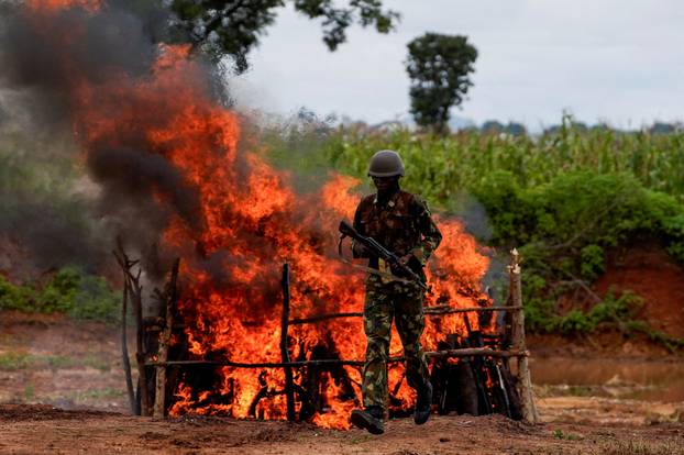 FILE PHOTO: Recovered, illicitly acquired, decommissioned and unserviceable firearms being destroyed during a public destruction exercise in Abuja