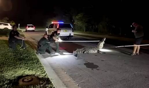 VIDEO Aligator od &ccaron;etiri metra do&scaron;etao me&dstrok;u ku&cacute;e u SAD-u!  Pogledajte kako su ga uklonili