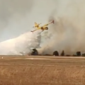 VIDEO Pogledajte kako kanader gasi požar kraj zračne luke u Zadru: 'Vatra je gutala sve'