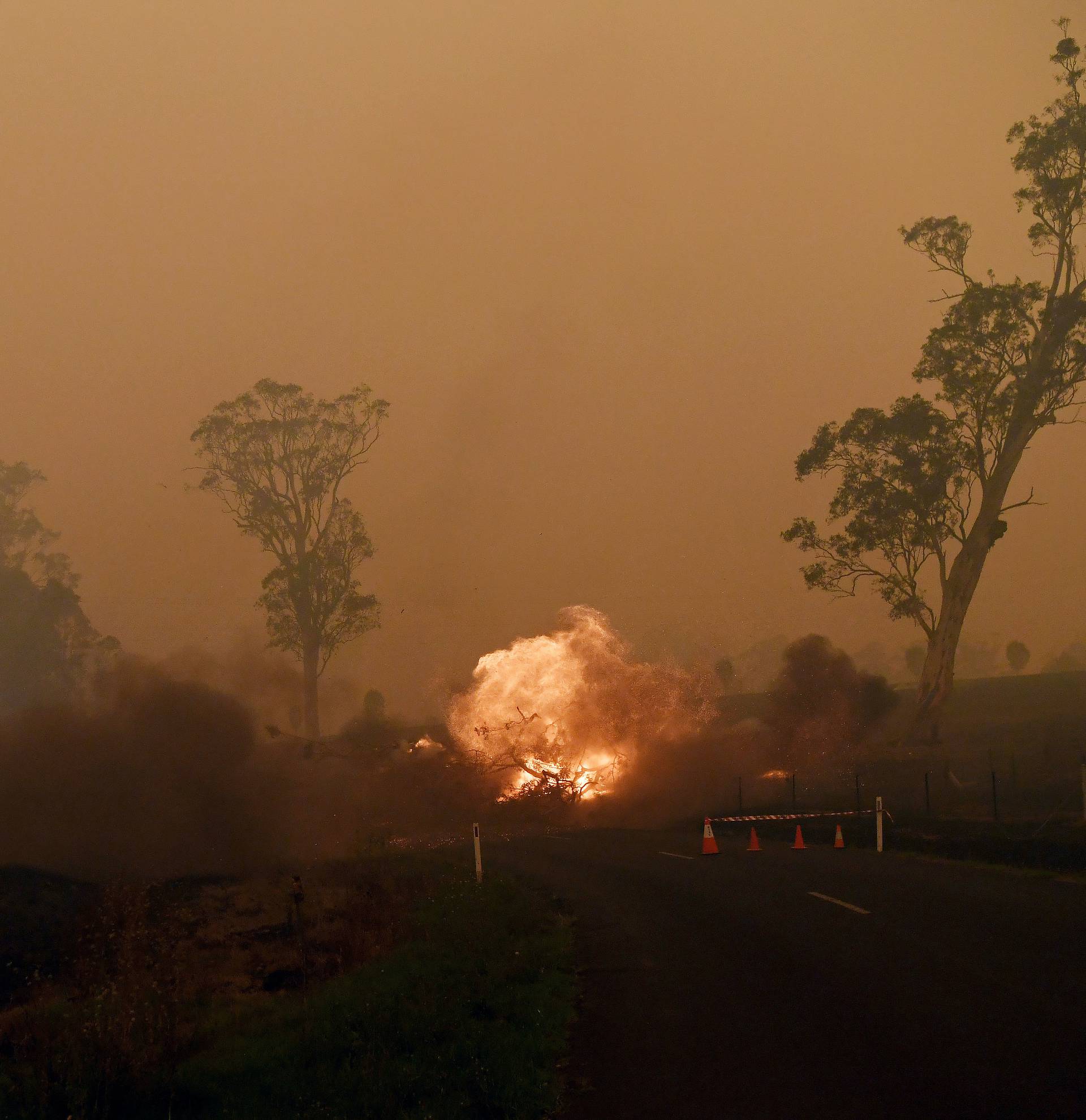 FILE PHOTO: Bushfires in New South Wales