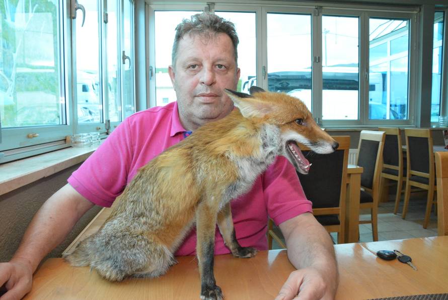 Macola  je udomio mladunče: Svaki dan kuham svom liscu