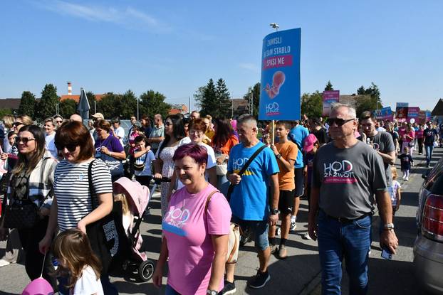 Pogledajte fotografije. U Sl. Brodu održan Hod za život