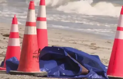 Horor scena na popularnoj plaži na Floridi! Radnik pronašao odsječenu ljudsku glavu