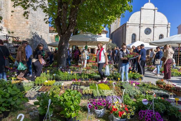 Svetivinčenat: Fešta od Rožic