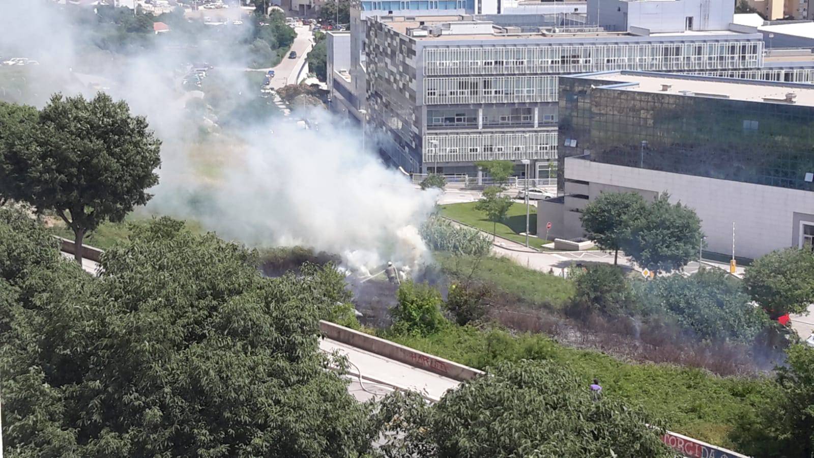 Izbio požar kod Ekonomskog fakulteta, gorjelo nisko raslinje