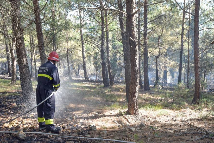 PoÅ¾ar kod Novalje nakon cijele noÄi stavljen pod kontrolu