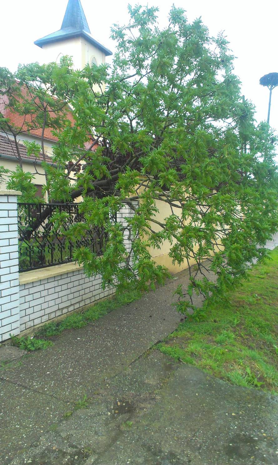 Čitatelj 24sata