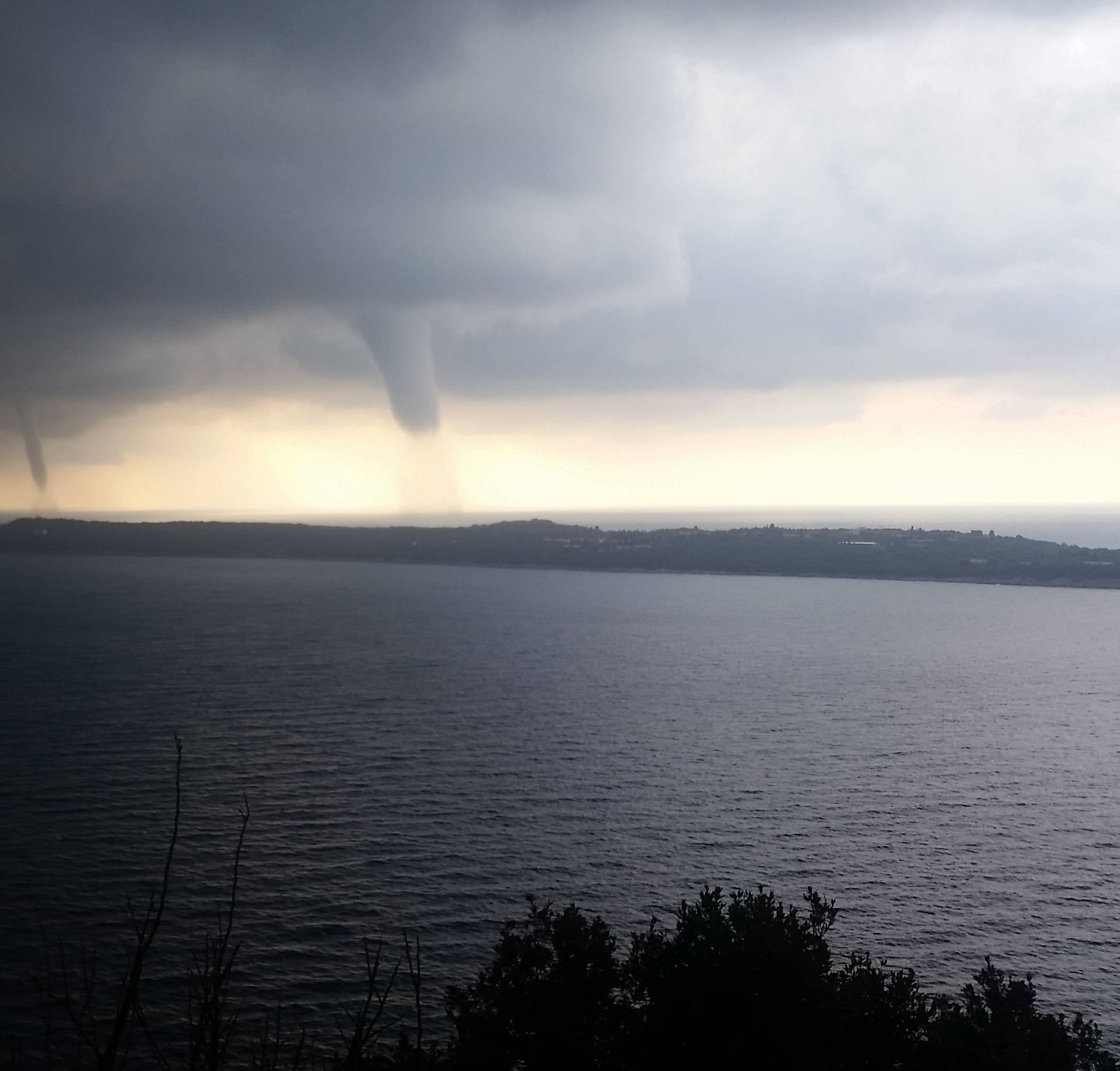 Crna Gora: Morske pijavice u blizini Prevlake, štete nema