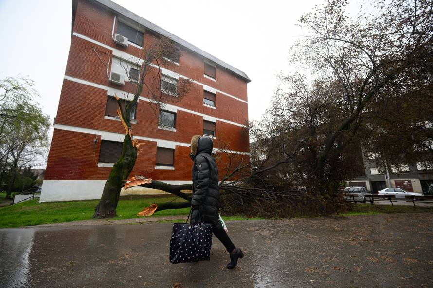 Zagreb: Jak olujni vjetar polomio stabla i grane na Jarunu
