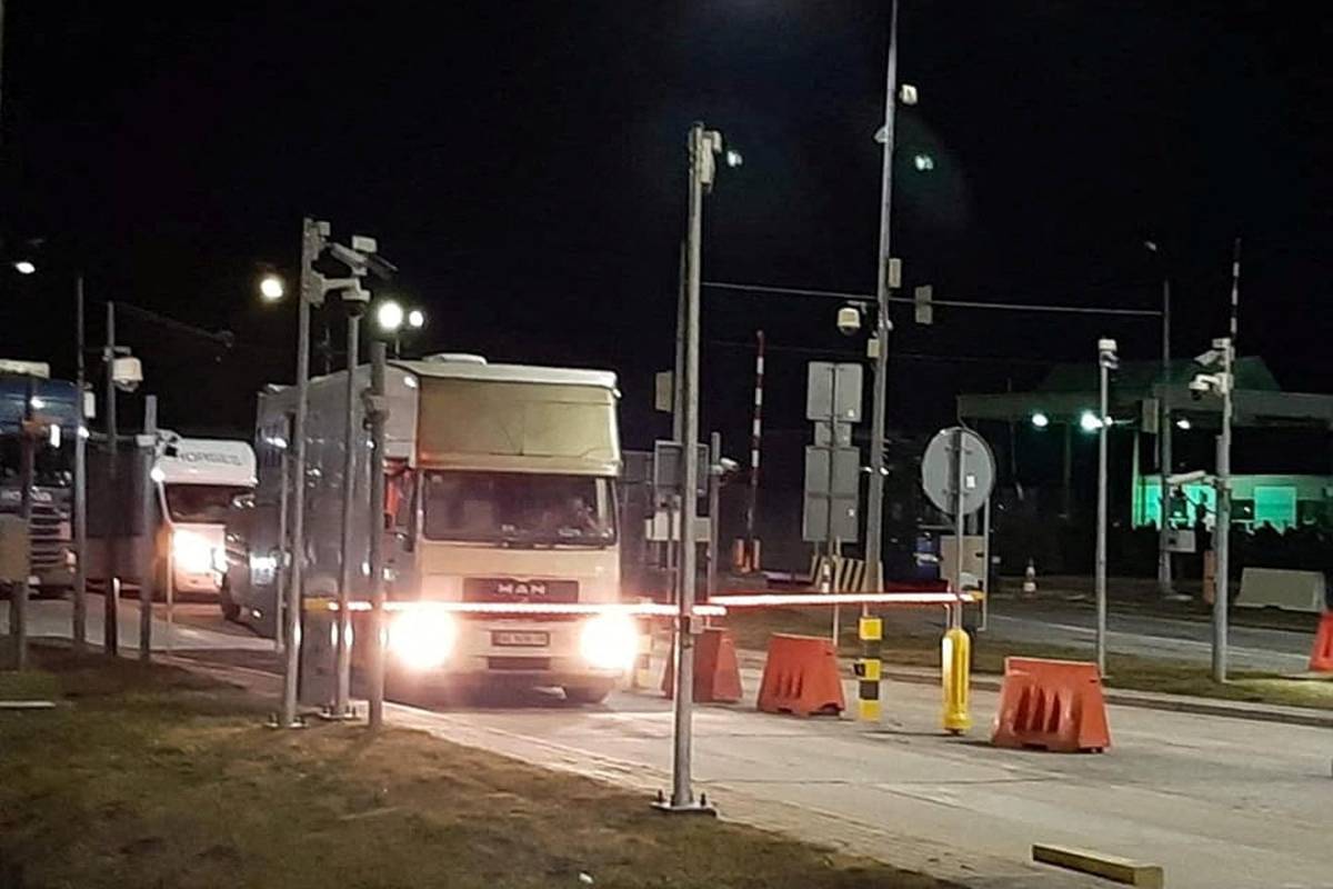 Iz Kijeva u Poljsku evakuirali lavove i tigrove iz zoološkog