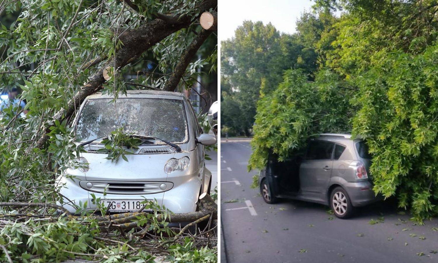 Velika grana pala je na auto u vožnji i razbila parkirani Smart