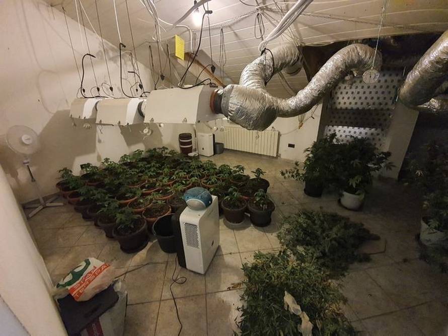 Našli mu 16 kila trave: Ilegalno se priključio na struju, pola kuće u Opatiji pretvorio u plantažu