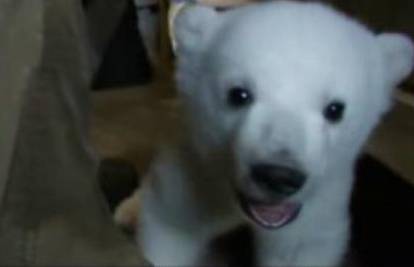 Dokumentarac "Knut i prijatelji" uskoro u kinima