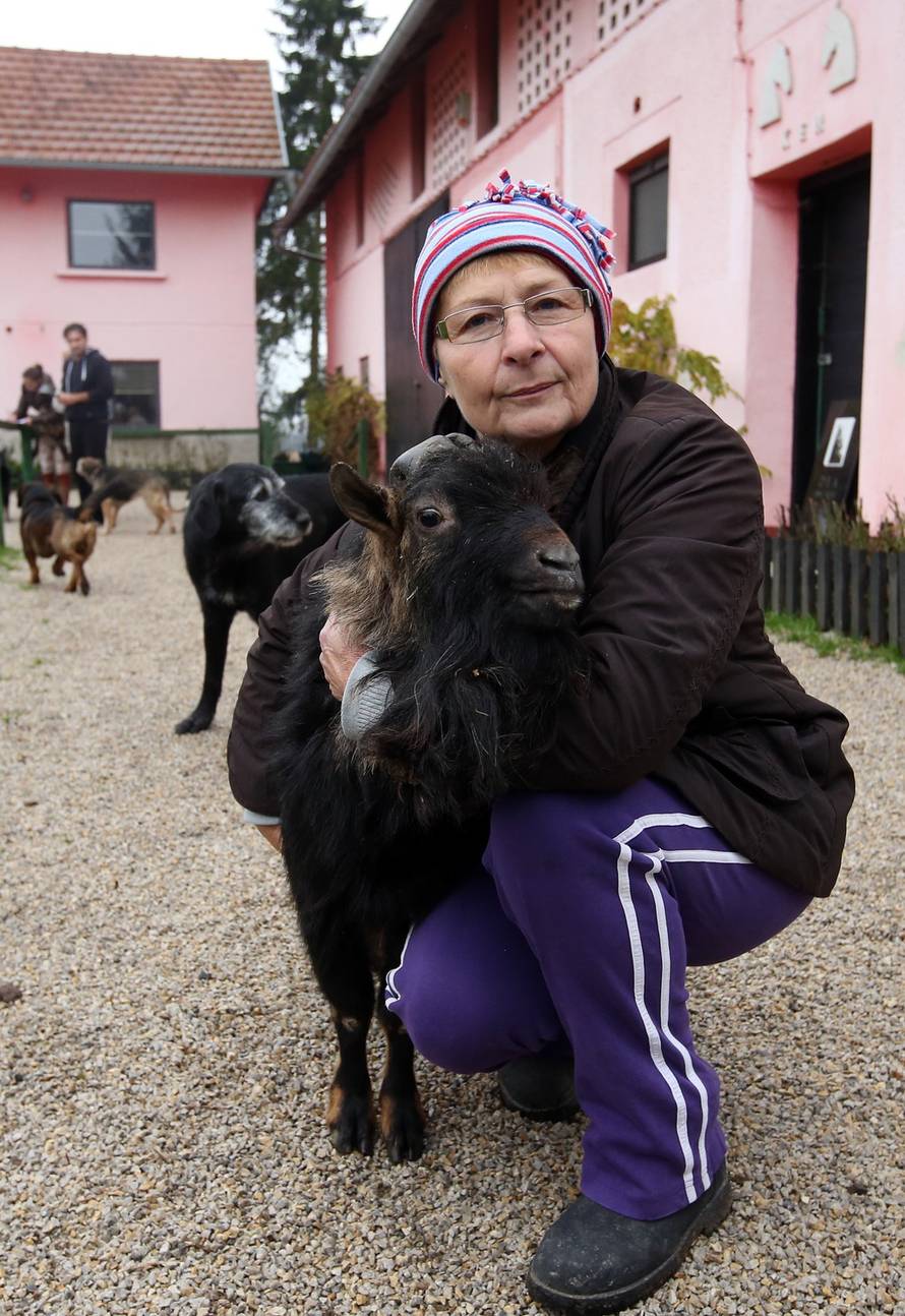 Robert Anić/Pixsell