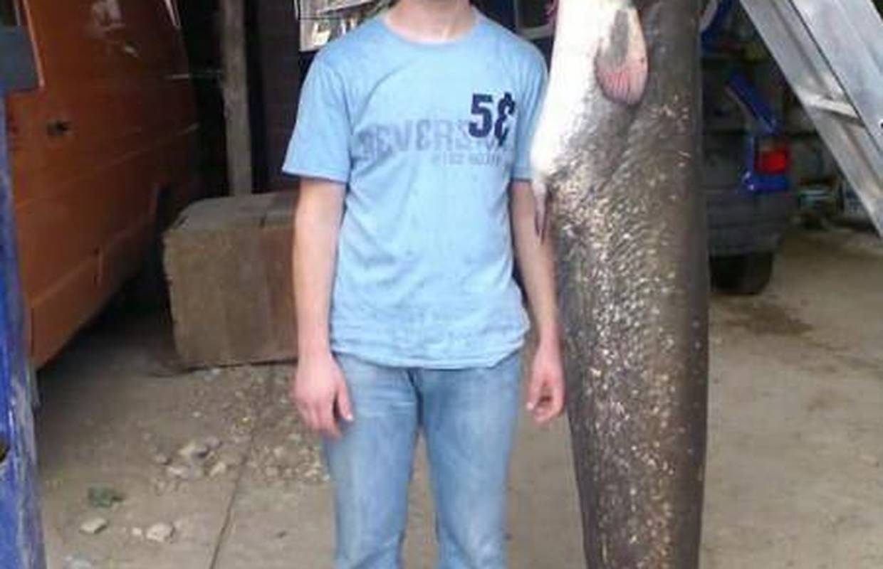 Upecao soma kapitalca od čak 193 centimetra i 45 kg